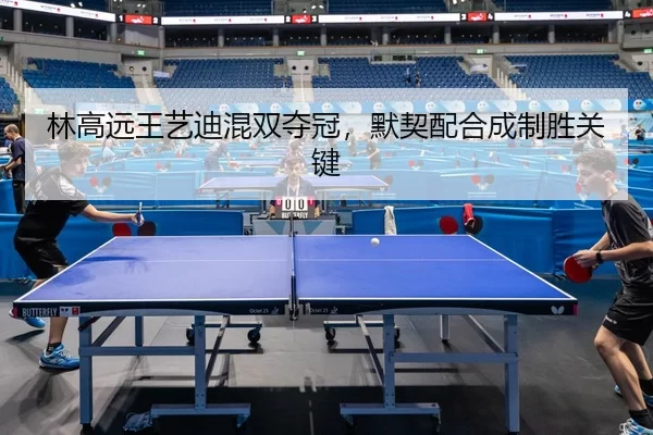 lin-gao-yuan-wang-yi-di-hun-shuang-duo-guan-mo-qi-pei-he-cheng-zhi-sheng-guan-jian-2-857.jpg